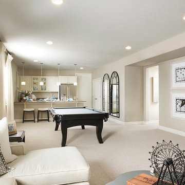 Arlington model home in Colorado