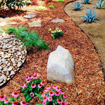 Xeriscape