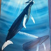 Christa Nowacki's photo