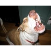 James Mcewen's photo