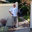 Caltech Fence Company