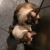 Lynn Doucette's photo