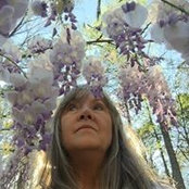 Sharon Heatonさんの写真