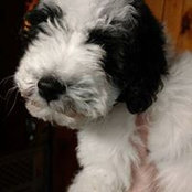 Pamela Trefethen's photo