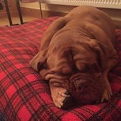 Foto de Sonya Packman