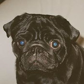 Ляля Шатало's photo