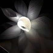 Diseño Upa's photo