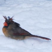 Stephanie Nelson's photo