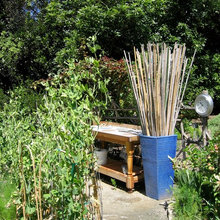 Garden Edibles