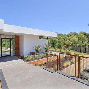 На фото: входные двери в современном стиле с белыми стенами, бетонным полом, одностворчатой входной дверью, стеклянной входной дверью и серым полом