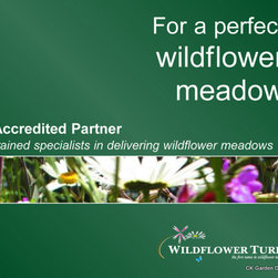 Wildflower meadow - Products