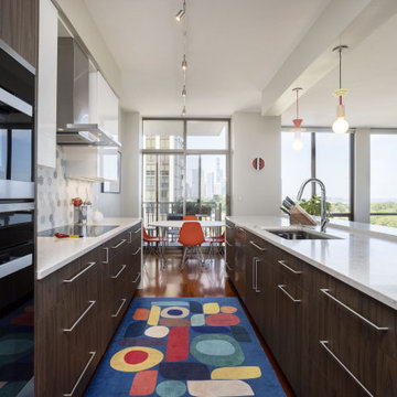 South Loop Highrise Kitchen Renovation