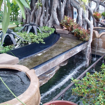 SF Conservatory of Flowers Project