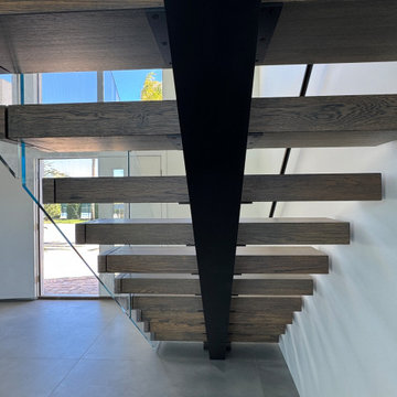 Steel and Glass Design- Tortoise Island