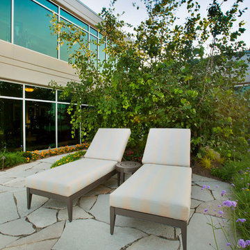 Roof top Penthouse