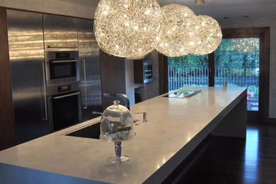 Kitchen - contemporary kitchen idea in Los Angeles