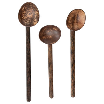 Coconut Shell Spoon With Mango Wood Handle, 3-Piece Set
