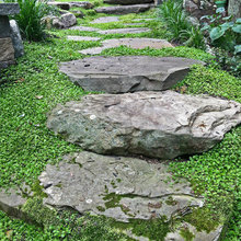 Stones