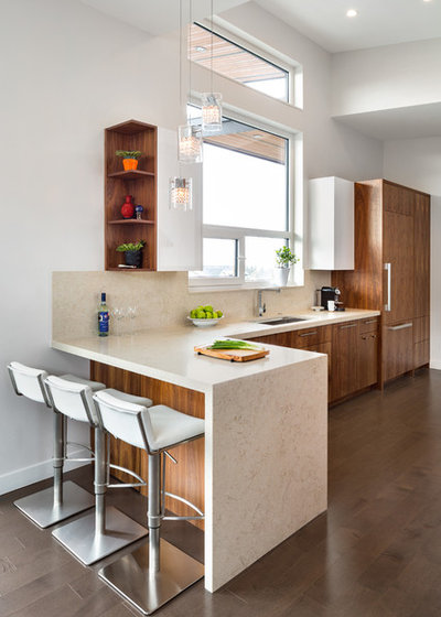 Contemporary Kitchen by Troico