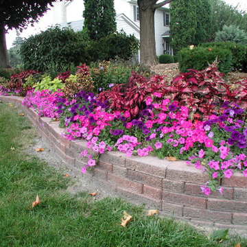 Color Explosion