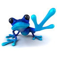 Blue Frog Studio's profile photo