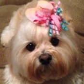 Foto von Cheryl Allen