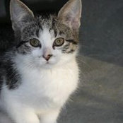 Carol Johnson's photo