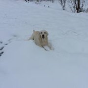 Foto von Tricia Keller