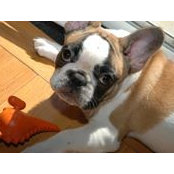 Cindy Halliburton's photo