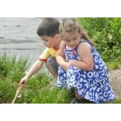 Denise Richards's photo