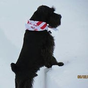 Cheryl Moore's photo