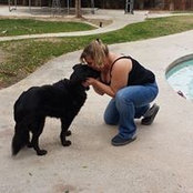 Jodi Cristea's photo