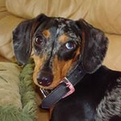 Tammy Trent's photo
