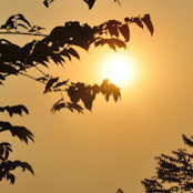 Amit Raman's photo
