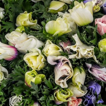 Incorporating the bluish hues of flowers from a Paris market