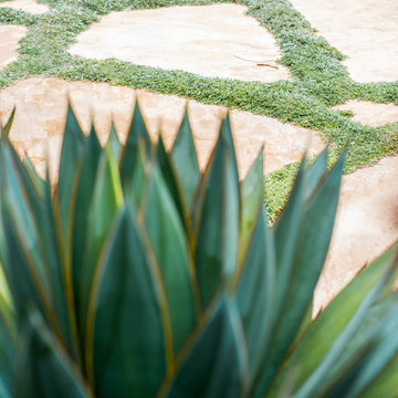 Lush Vitality