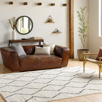Beni Shag BSH-2302 Area Rug