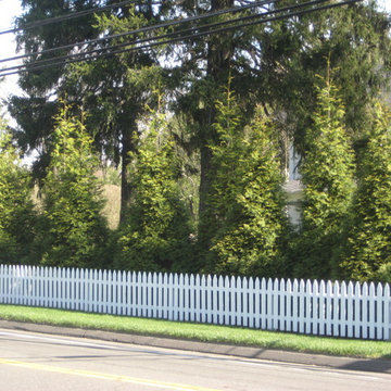 Landscaping