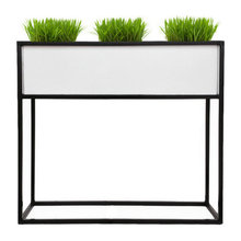 PLANTERS