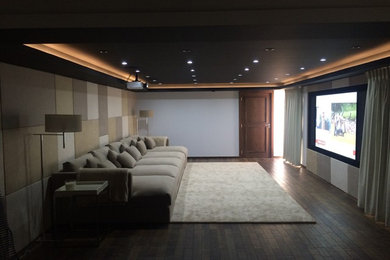 This is an example of a large contemporary home cinema in Other with bamboo flooring and a projector screen.