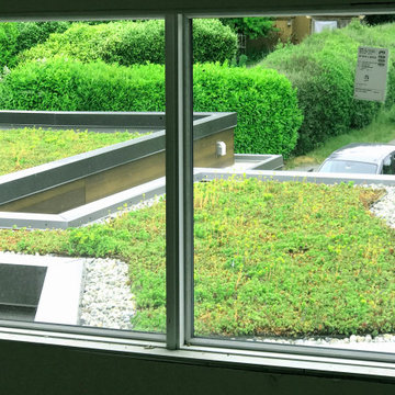 Sustainability with the view
