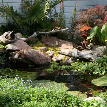 Koi Ponds and Water Gardens