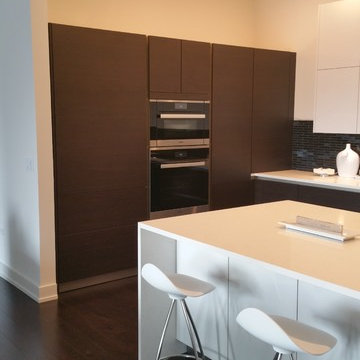 Contemporary Kitchen in Burr Ridge