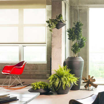 Tabletop Planters for Your Style