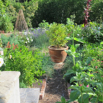 Herbs, vegetables and flowers