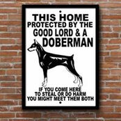 Judith Ellis's photo