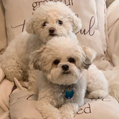 Marika Edwards's photo