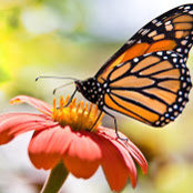 Diana Galloway's photo