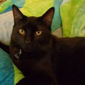 Amanda Rogers's photo
