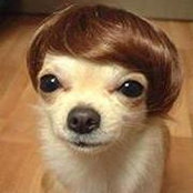 Ozzy Hernandez's photo